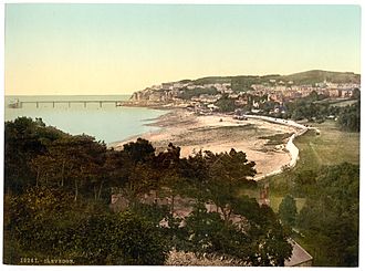Clevedon 1890s