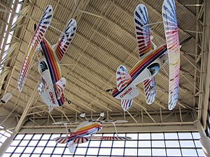 Eagles Aerobatic Team Display