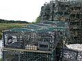Guilford CT lobster traps