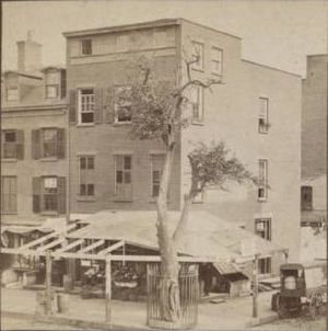 Pear Tree Corner Circa 1900