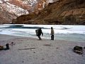 Porters are collecting drift wood for fire on chadar