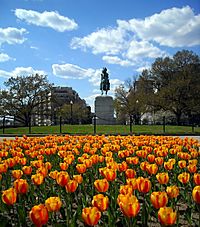 Washington Circle and tulips.JPG