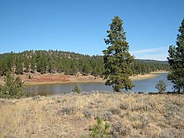 Antelope Flat Reservoir in the Maury Mountains, Ochoco National Forest, Crook County, Oregon