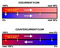 Comparison of con- and counter-current flow exchange
