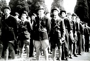 Fianna Officers