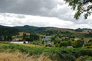 Laurelwood Oregon vista