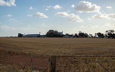 Pinkerton Plains South Australia.jpg