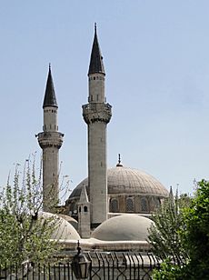 Takiyya as-Süleimaniyya Mosque 02