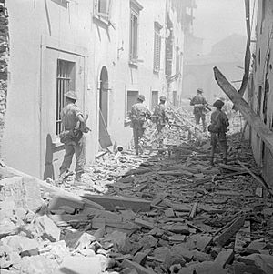 The British Army in Italy 1944 NA17570