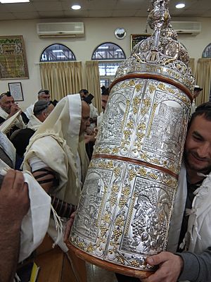 Torah case