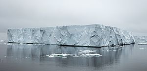 Antarctic Sound-2016-Iceberg 02