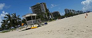 Beach in Fort Lauderdale, Florida (2014)