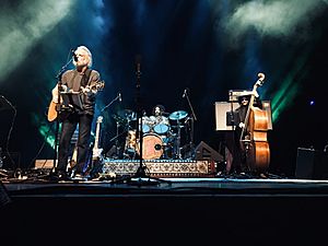 Bob Weir and the Wolf Brothers St. Louis 3-22-2019