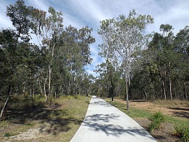 Brassall Bikeway Wulkuraka Queensland.jpg