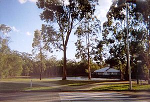 Brisbane-Entertainment-Centre-grounds-2