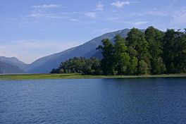 Lago Pirihueico.jpg