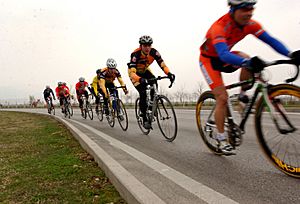 Military cyclists in pace line