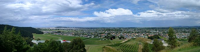 Napier, New Zealand from Sugar Loaf hill