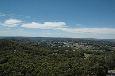 Piccadilly from mt lofty.jpg