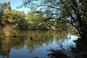 Pond creek nwr.jpg