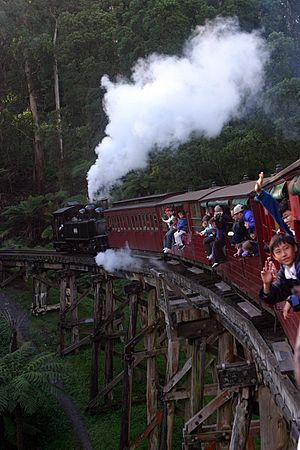 Puffing billy in action 2003