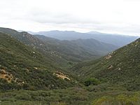 San Mateo Canyon Wilderness