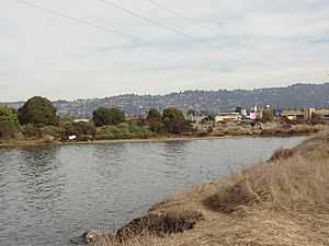Schoolhouse Creek (Alameda County, California)