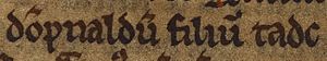 Domnall mac Taidc (British Library Cotton MS Julius A VII, folio 33v)