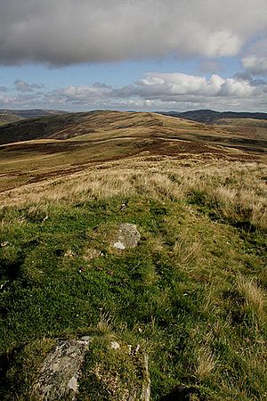 Ettrick Forest countryside - geograph.org.uk - 1503661