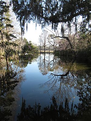 Magnolia Plantation and Gardens - Charleston, South Carolina (8555382107)