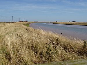 Stony Ditch on Orford Ness - geograph.org.uk - 1472297.jpg