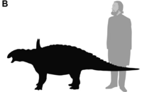 Struthiosaurus austriacus size.png