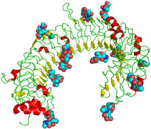 TLR3 structure