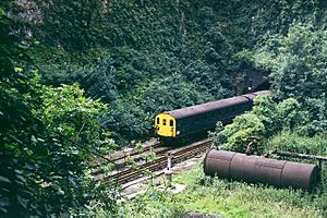 The gap in Higham Tunnel - geograph.org.uk - 1612919