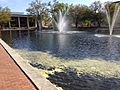 Thomas Cooper Library, University of South Carolina, Reflecting Pond
