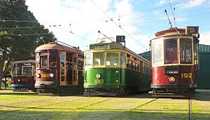 Trams 303, 360, 1013 and 192 in winter sunshine, Tram Museum, St Kilda, 10 June 2013 (JCRadcliffe)