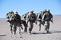 US Army 50970 U.S. Army takes Gold in Chilean Army competition