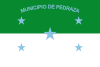 Flag of Pedraza