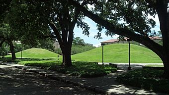 LSU Campus Indian Mounds.jpg