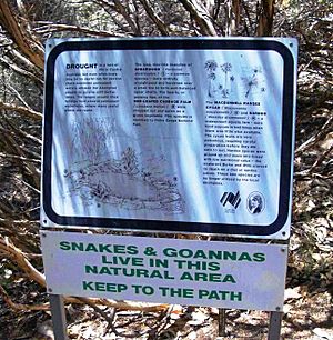 Snakes and Goannas. Olive Pink, Alice Springs 01.jpg