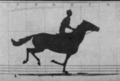 The Horse in Motion-anim