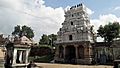 Thoovainathar Temple (9)