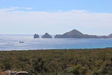 View of El Arco and the Bay at Cabo San Lucas - panoramio