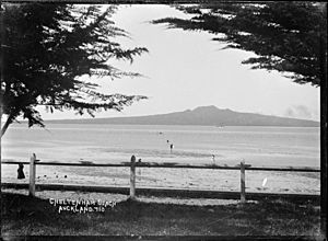 View of Rangitoto Island from Cheltenham Beach, Auckland (21480517548)