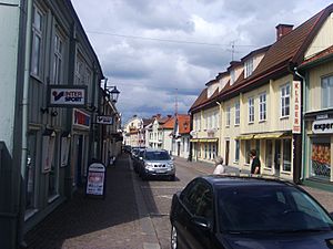 Vimmerby in June 2008