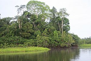 Amazonía Ecuador