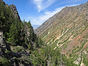 American Fork Canyon from Timpanogos Cave entrance