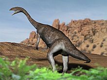 Anchisaurus NT