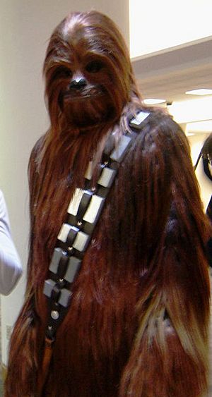 Chewbacca costume