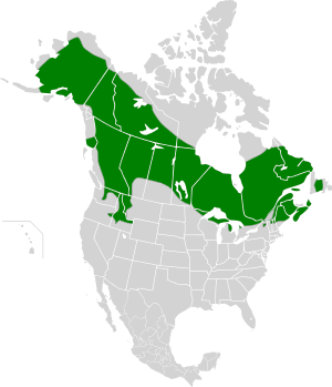Falcipennis canadensis map2.svg
